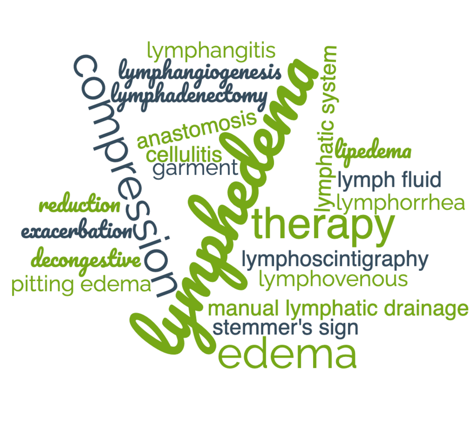 Words and Phrases You Might Need to Know